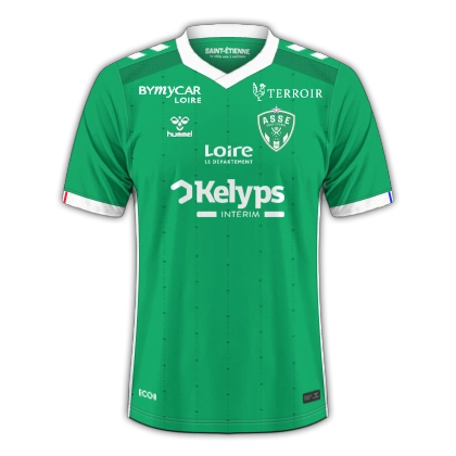 Maillot Vintage ASSE Saint-Etienne Perrin, Le Coq Sportif, Taille L, Occasion
