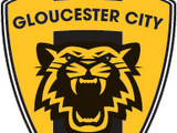 2017–18 Gloucester City A.F.C. season