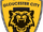 2018–19 Gloucester City A.F.C. season