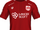 2016–17 Bristol City F.C. season