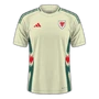 Wales 2024 away
