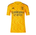 Benfica 2022-23 away