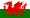 Flag of Wales