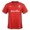 Cardiff City 2013–14 home
