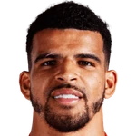 Dominic Solanke