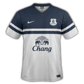 Everton 2013–14 third