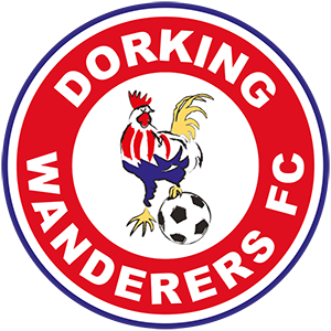Dorking Wanderers . | Football Wiki | Fandom