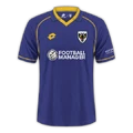 AFC Wimbledon 2025-26 home