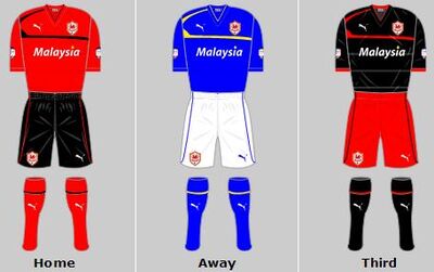 Cardiff City kit 2012-13