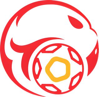 Kyrgyzstan national football team Football Wiki Fandom