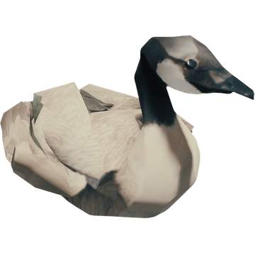 Canada goose store wiki fr