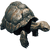 IconTortoise
