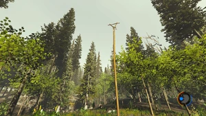 Прикреплённое тело лягушки на вершине