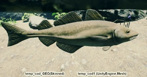 Треска - Gadus macvocephalus