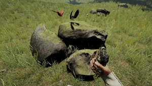 Голова варана в руке игрока