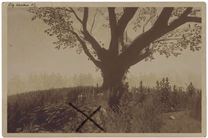 Фотография тайника 2