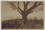 CacheMap 02