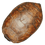 IconTurtleShell