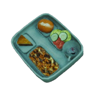 Airplane Food Tray