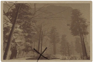 Фотография тайника 7 (по некоторым причинам названый тайник 8)