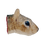 IconHeadSquirrel