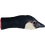 HeadGoose