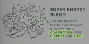 Изображение в книге по выживанию