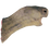 IconHeadTortoise