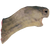 IconHeadTortoise