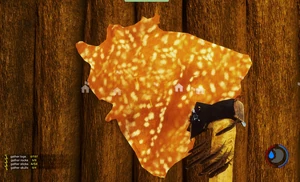 Шкура оленя на стенке.