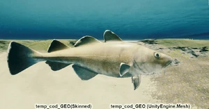 Треска - Gadus macvocephalus