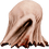 IconHeadVirginia