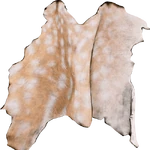 DeerSkin.png