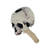 IconSkullTrophy