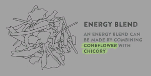 Изображение в книге по выживанию