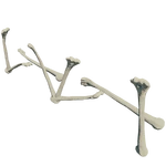 BoneFence.png