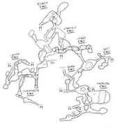 Пещера учёных - Sahara пещера