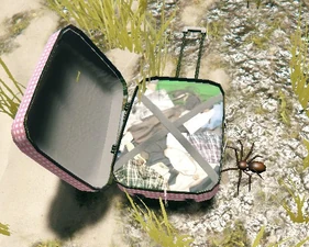 Паук на земле из v1.0