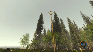 Похоже на прикреплённые перья на вершине