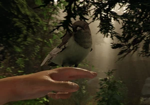 Птица на руке игрока