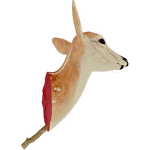 AnimalHead.png