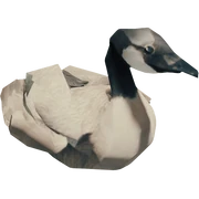 Канадский гусь