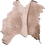 IconBoarSkin