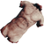 Torso