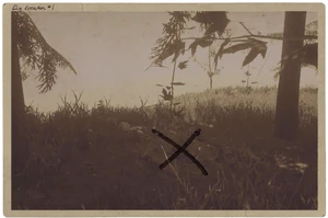 Фотография тайника 1