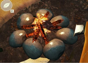 Приготовление мяса кролика