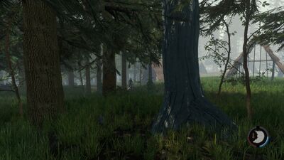 Forest, The Forest Wiki