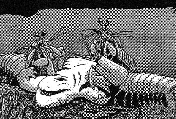 Mantis shrimp | The Future is Wild Wiki | Fandom