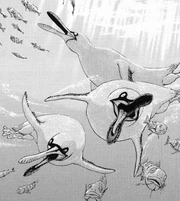 Gannetwhales swimming