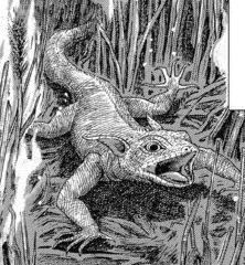 Eared lizard | The Future is Wild Wiki | Fandom Eared lizard | The Future is Wild Wiki | Fandom